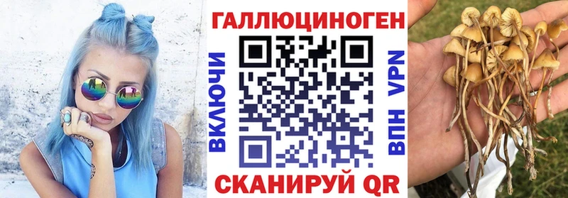 MEGA как войти  Богородск  Псилоцибиновые грибы Psilocybine cubensis 